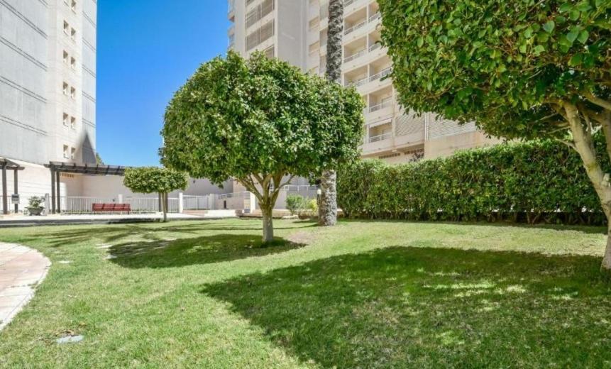 Homeincalpe Apolo XVII 1-14-41 Extérieur photo